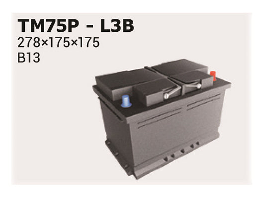 IPSA Startbatteri TM75P 12V 75Ah