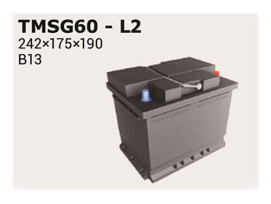IPSA Startbatteri TMSG60 12V 60Ah
