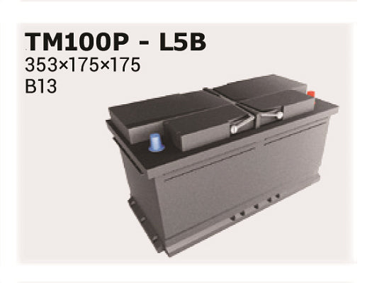 IPSA Startbatteri TM100P 12V 100Ah