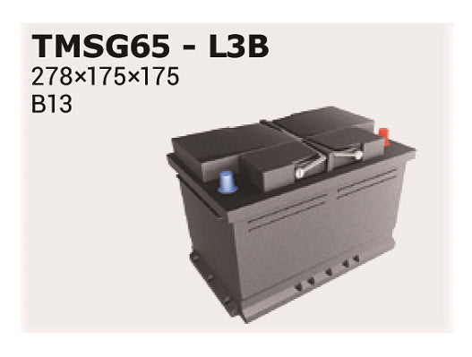 IPSA Startbatteri TMSG65 12V 65Ah