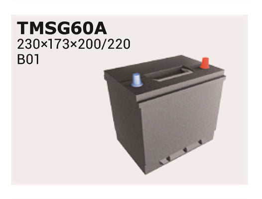 IPSA Startbatteri TMSG65A 12V 65Ah