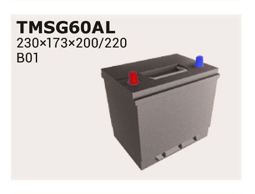 IPSA Startbatteri TMSG65AL 12V 65Ah